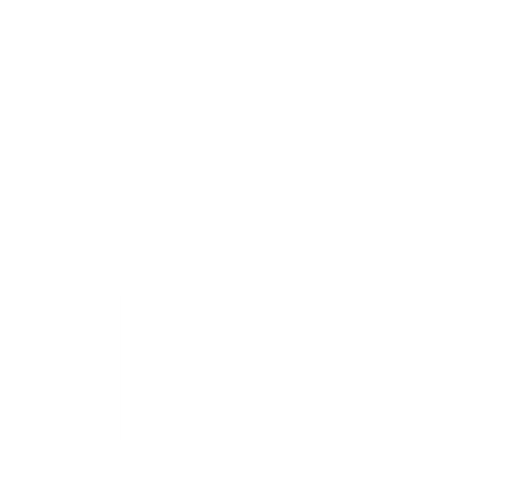 ncriptech logo outline