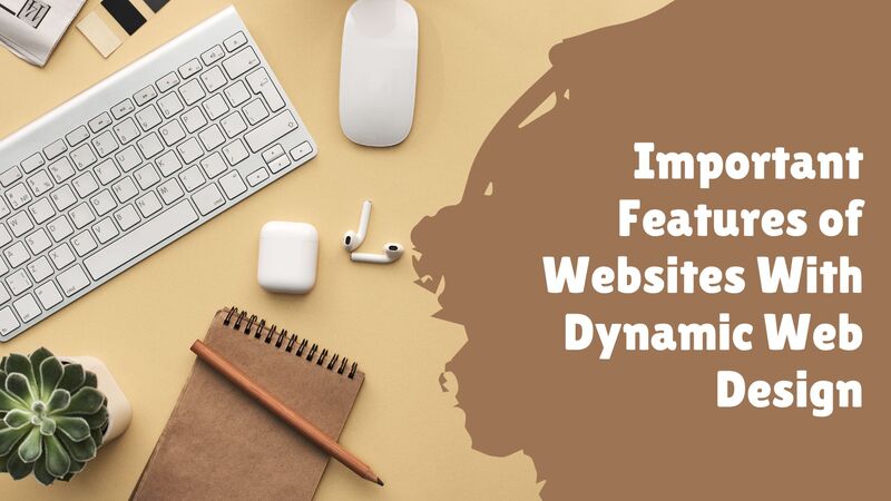 Important Features of Websites With Dynamic Web Design